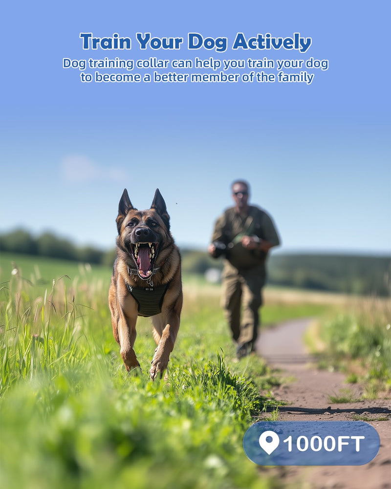 PATPET Shock Collar for Large Dog - Rechargeable Dog Training Collar with Remote for Medium Large Dogs 1000Ft Remote Range 3 Training Modes IPX7 Waterproof Blue,For 1 dog - PawsPlanet Australia