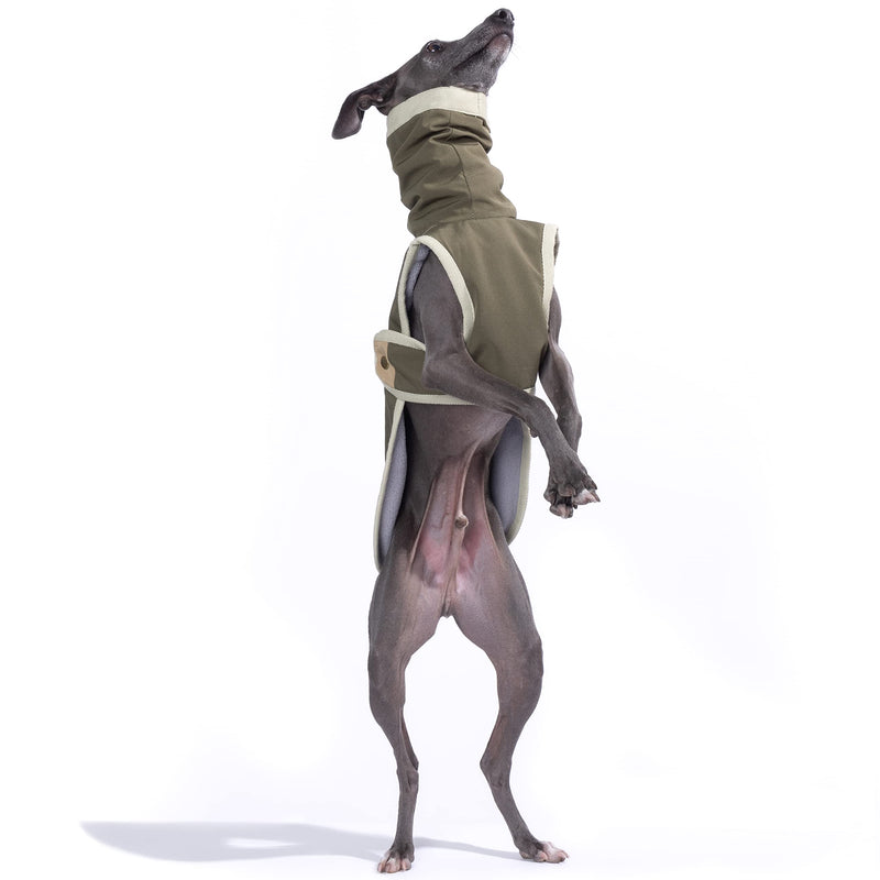 Yigi Turtleneck Jacket with Harness Opening, Fleece Lining, Adjustable, Lightweight, Breathable Jacket for Italian Greyhound Medium Sage Green - PawsPlanet Australia