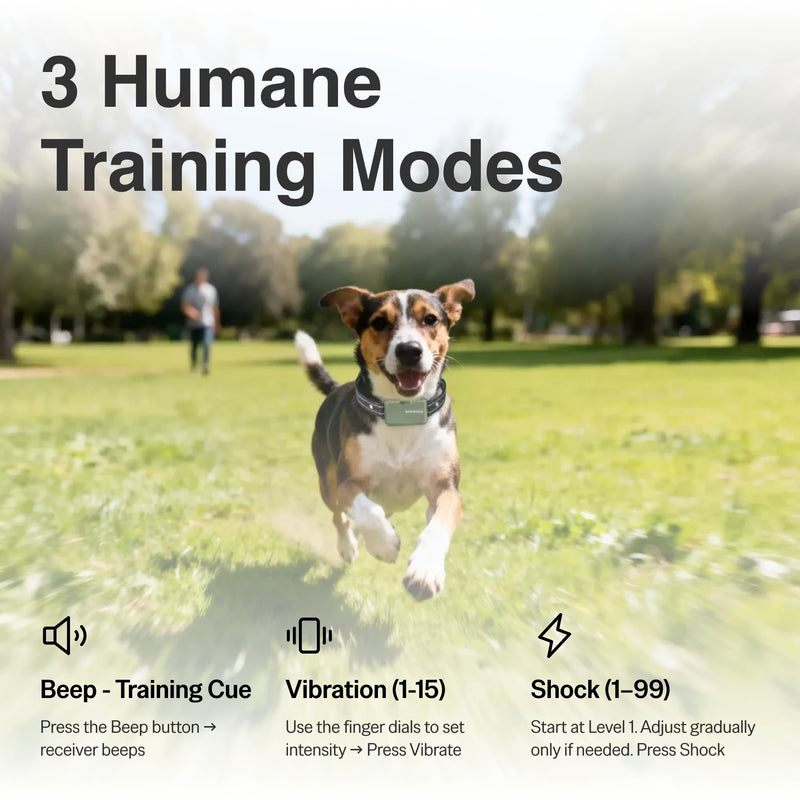 SafeShock® (Latest Model) - Dog Collar with Remote Control, Dog Training Collar with Remote - Beep & Vibration First, Adjustable Levels, 4200FT Range, for Small, Medium & Large Dogs - PawsPlanet Australia