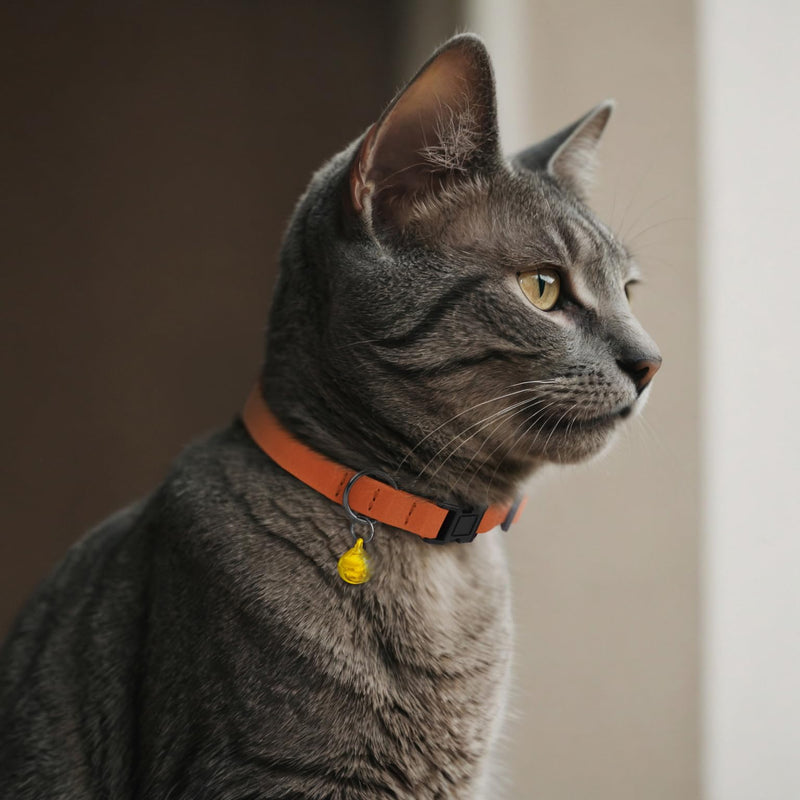 Breakaway Cat Collar Leather with Removable Bell - 13 Colors Available - Soft Adjustable Girl Boy Safety Lightweight Pet Kitten Collars Pink Brown Blue Green Red Orange Black (Mustard) Mustard - PawsPlanet Australia