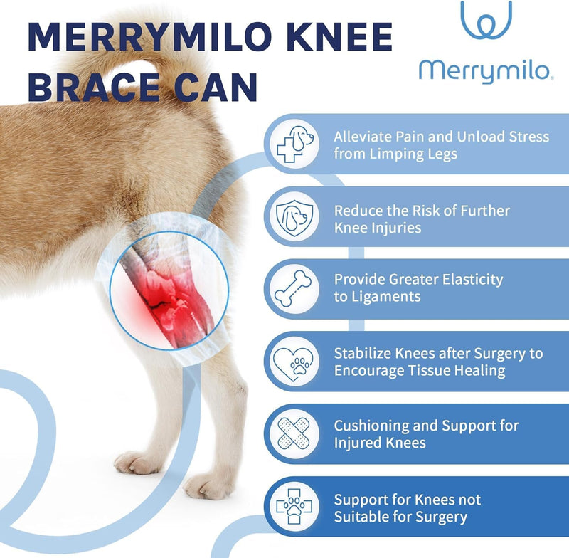 Dog Knee Brace for Torn ACL – Rear Leg Support for Ligament Injuries and Joint Pain Relief, Size: Large(10.2-13.3)