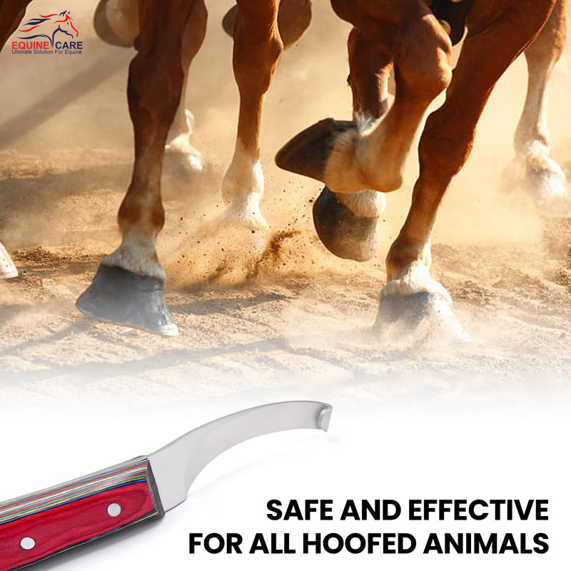 Farrier Hoof Knife Left-Handed - Ultra-Sharp J2 Stainless Steel Blade, Brass Cap, Ergonomic Sheet Handle - Professional Tool for Hoof Trimming, Shoeing, Horse & Cow Hoof Care. Left Handed - PawsPlanet Australia