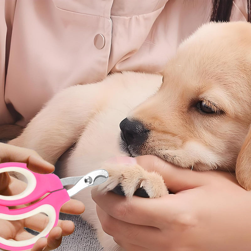 Zoocozy Pet Nail Trimmer, Cat Nail Trimmer cat Nail File Dog Nail kit Nail Trimmer is Suitable for Cats, Dogs, Guinea Pigs and Other Small Animals（Pink Colour） pink colour - PawsPlanet Australia