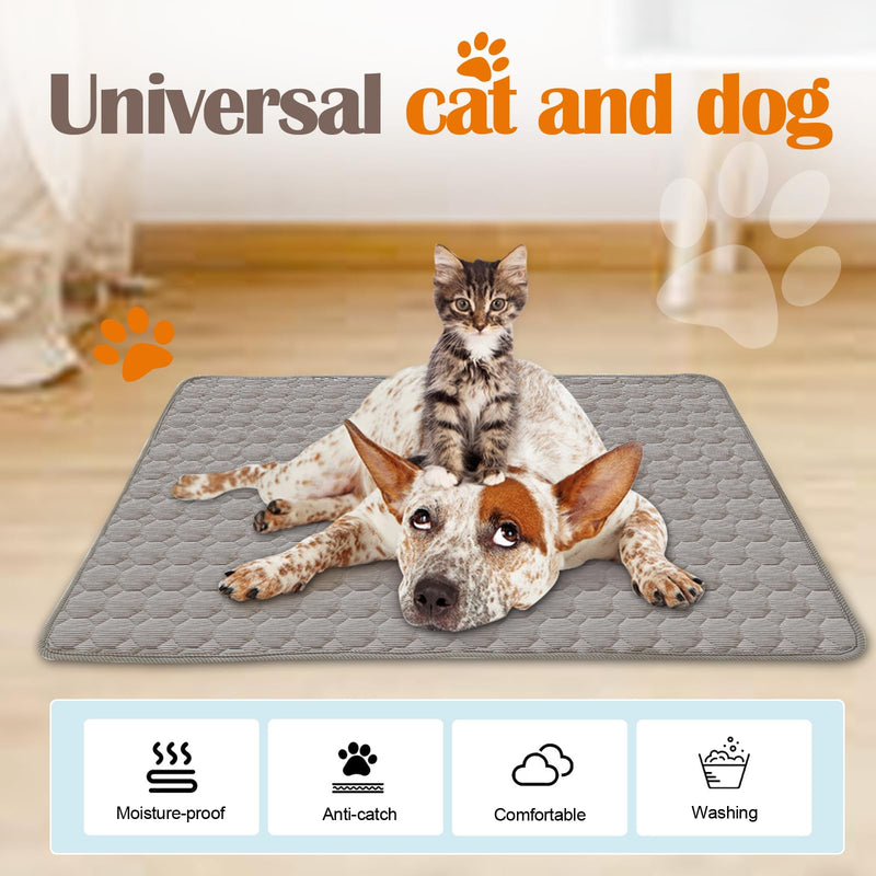 Dog Bed Mat - Washable Pet Furniture Protector with Anti-Slip Bottom for Dogs and Cats, 23 x 19 Inch, Dark Gray - PawsPlanet Australia