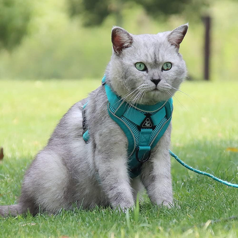 Puppy Harness,Cat Harness and Lead Set,No Pull Dog Cat Harness,Soft Mesh Breathable Reflective Puppy Cat Dog Vest Harnesses for Small Dogs Cats (Lake Blue, Small) Lake Blue - PawsPlanet Australia