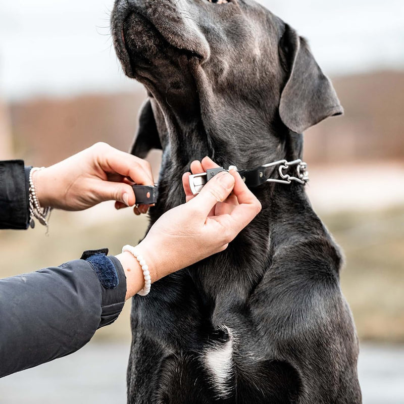 Herm Sprenger Prong Collar for Dog Training with Easy Quick Release Cliclock & Swivel Ring - German Made Dog Collar with Chrome Plated Stainless Steel 2.25mm Prongs for Small/Medium Dogs (13-19" Neck) Small/Medium (13-19" Neck, 2.25mm Links) - PawsPlanet Australia