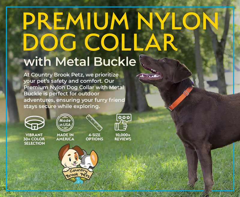 Country Brook Petz Premium Nylon Dog Collar with Metal Buckle for Small Medium Large Breeds - Vibrant 30+ Color Selection (Medium, 3/4 Inch, Christmas Green) Medium (Pack of 1) - PawsPlanet Australia