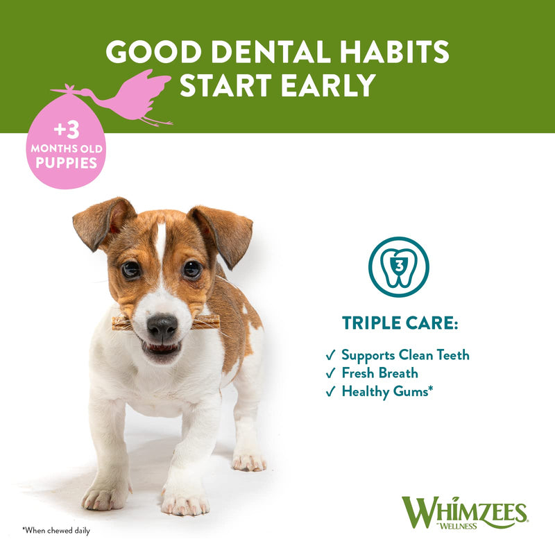 WHIMZEES Puppy Stix, Natural and Grain Free Dog Chews, Puppy Dental Sticks, 28 Pieces, Size XS/S 28 g (Pack of 1) Extra Small to Small Breed (2-9kg) - PawsPlanet Australia
