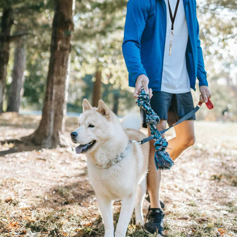 2pcs Adjustable Dog Whistle with Black Lanyard, Dog Whistle to Stop Neighbors Dogs from Barking,Silent Dog Whistle,Silent Training Stop Bark Control Tool for Pet Dogs,Obedience Training