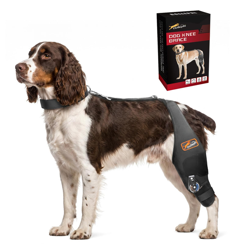 Dog Knee Brace for Torn ACL/CCL, Adjustable Hind Leg Support for Arthritis, Luxating Patella & Post-Surgery Recovery（Left Leg,XL Left Leg XL