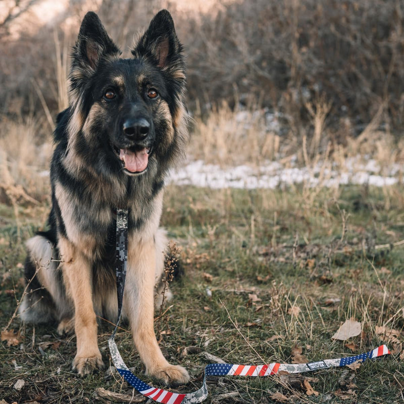 Wolfgang Heavy Duty Dog Leash, Pull-Tested to Over 800 lbs for Walking & Training, DigitalDog Print, Small Small (5/8 Inch x 4 Feet) - PawsPlanet Australia