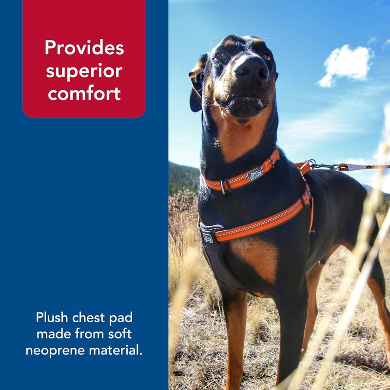 Coastal Pet K9 Explorer Reflective Adjustable Padded Dog Harness - Plush Chest Pad for Comfort - No-Pull Dog Harness for Small and Large Dogs - Orchid - 1" x 20"-30", Medium - PawsPlanet Australia