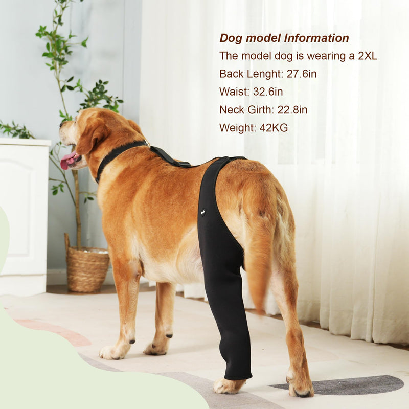 Dog Recovery Sleeve Back Leg Waterproof Diving Material,Dog Leg Sleeve to Stop Licking and Biting Firm and Secure, Adjustable Size, 2.5mm Thick Comfortable Alternative to Cone Collars (Small) Small - PawsPlanet Australia