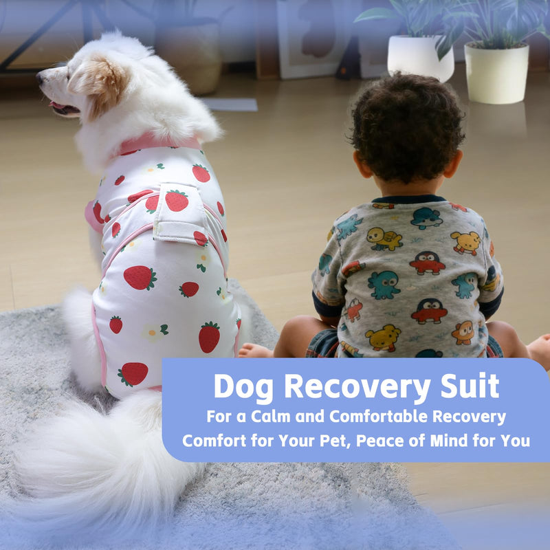 PET Glam Recovery Suit for Dogs Cats, After Surgery, Alternative E-Collar Dog CAT. PET Shirt Breathable Abdominal Wounds, Neuter Cotton, Prevent Licking Onesie Surgical (RED, S) RED Small