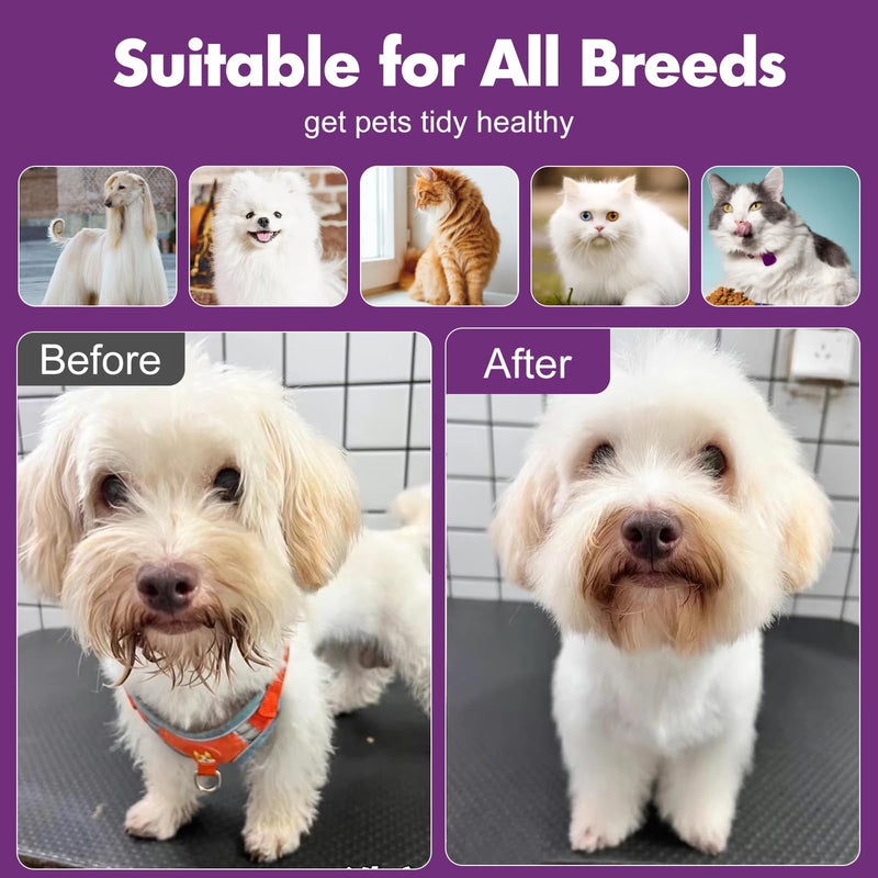 Katoggy Steam Cat & Dog Grooming Brush, Self Cleaning, Removes Static & Flying Hair Purple - PawsPlanet Australia