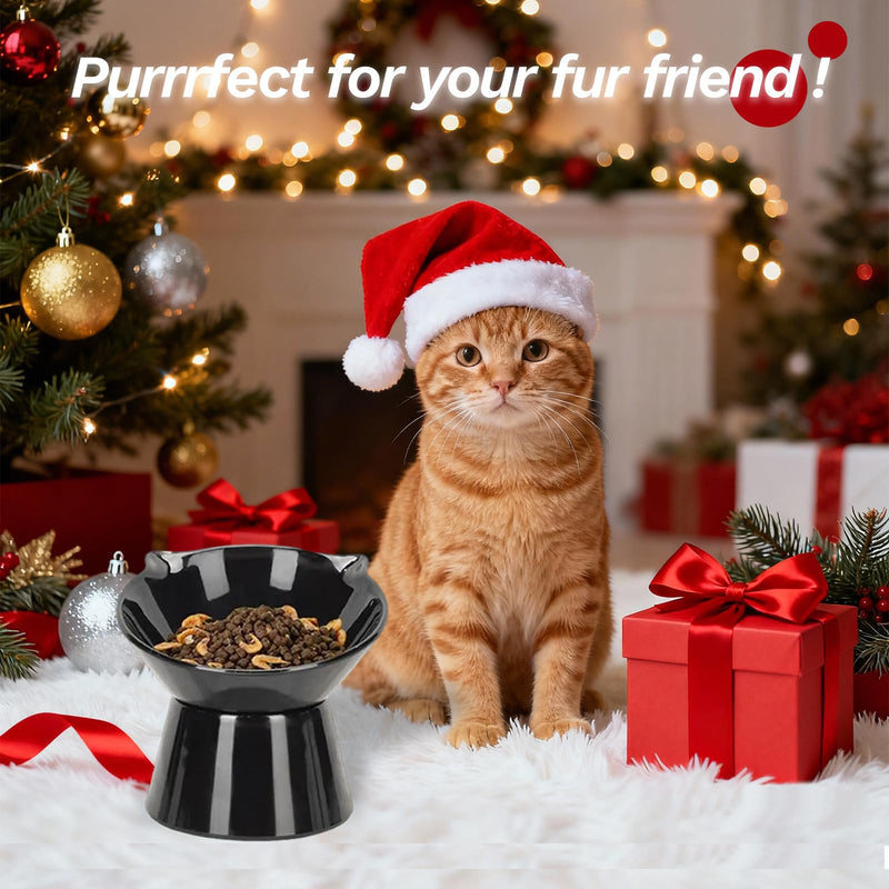 Raised Cat Bowl,15°Tilted Elevated Cat Bowls for Kittens，Anti Vomiting Cat Food Bowl，Cat Feeding and Watering Dishes for Cat and Small Dog Black