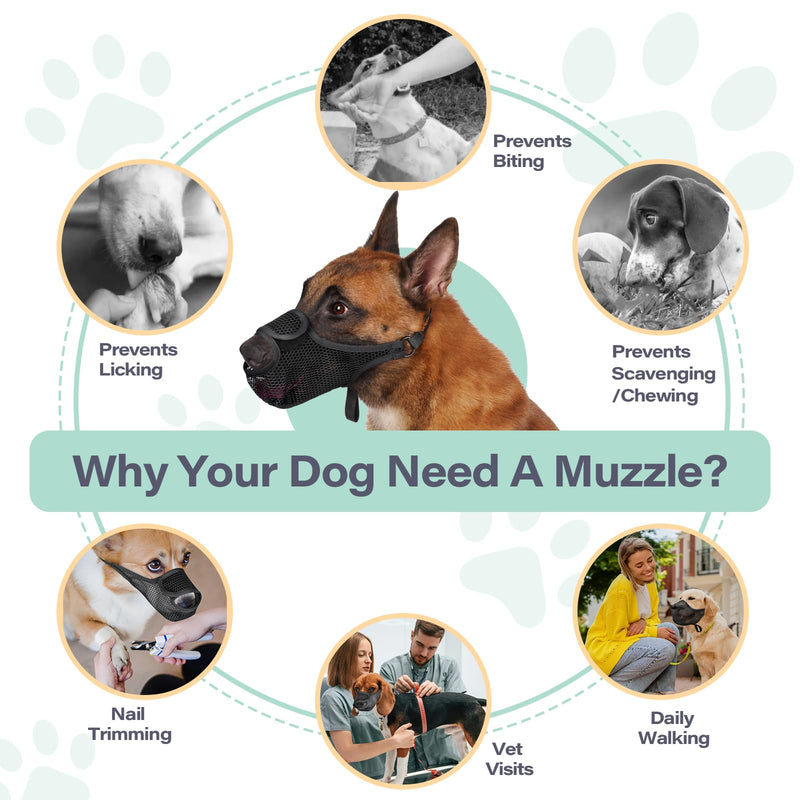 LUCKYPAW Dog Muzzle for Large Medium Small Dogs, Patented Mesh Muzzle to Prevent Biting Chewing Eating, Soft Mouth Guard with Front Opening Design for Drinking Panting(Black, M) Black - PawsPlanet Australia