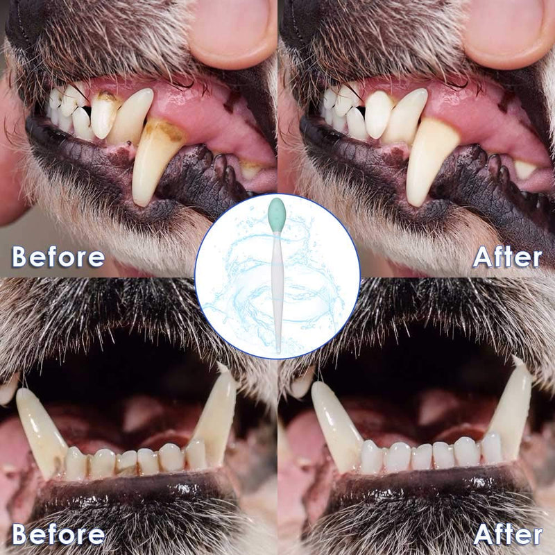 Dog Toothbrush, 4 Packs Silicone Pro Double-Sided Soft Comfort Gentle Dental Brushes Set Kit with 5.7 inches Curved Long Handle for Puppy Small Medium Dogs Cats Most Pet (Set 1) Set 1 - PawsPlanet Australia