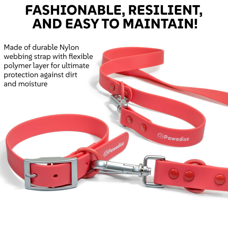 Collar & Leash Set – Adjustable, Waterproof, Dirt & Odor Resistant, Easy to Clean (Red Watermelon, Large) Red Watermelon