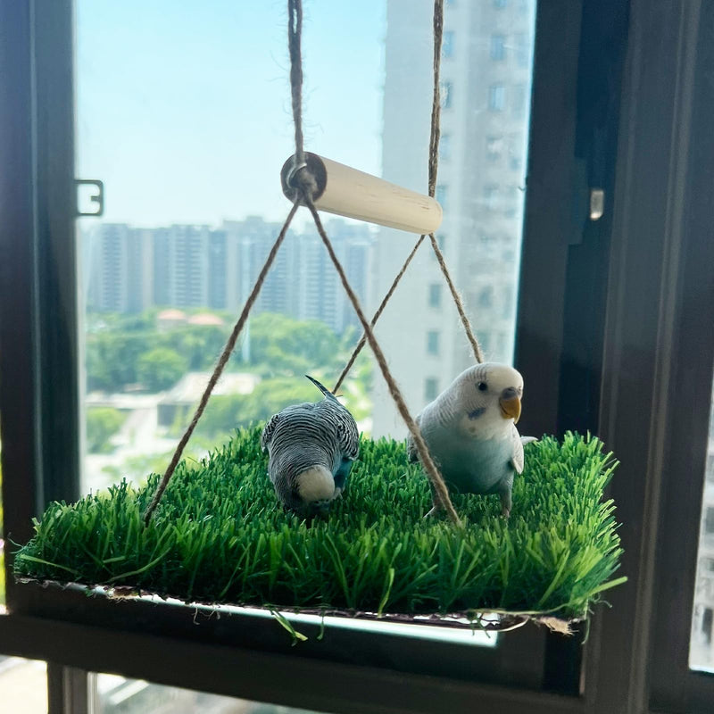Bird Swing Mat with Wood Perch, Lawn Swing Hammock for Parrot, Simulated Grass Bird Swing Mat Hanging Climbing Hammock for Parakeet, Budgie, Conure, Cockatiel, Lovebird, Canary - PawsPlanet Australia
