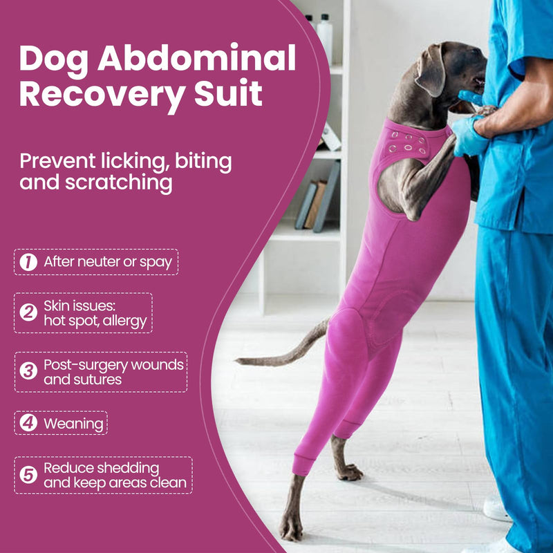 Nanaki Dog Wound Care Shirt,Dog Leg Sleeve To Stop Licking Rear Leg And Abdomen,Dog Surgery Suit Female Spay,Dog Onesie For Surgery Female Male,Dog Surgical Recovery Suit Female Dog Wound Heal Clothes 2XL(Back:23.2", Weight:40-85Ib) Purple - PawsPlanet Australia