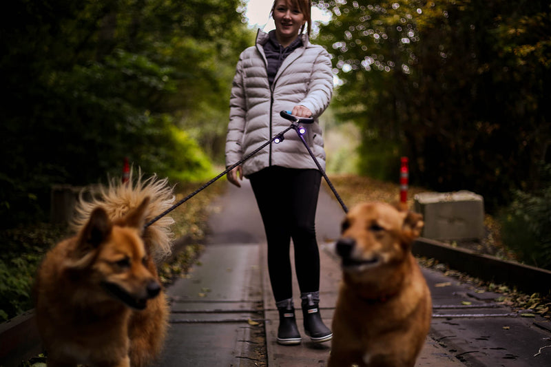 WIGZI 2 Dog Leash Automatically Untangles with 360° Spin, Gel Handle - Reflective Rope. Optional LEDs Light UP to 25 FEET. Universal Size All Dogs, Black, Med/Lrg Size with 2 Rechargeable Lights Medium/Large Size 2 LEDs - PawsPlanet Australia