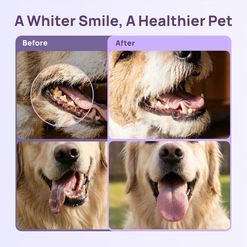 HICC PET Dog Finger Toothbrush Pack, 360° Silicone Pet Toothbrush for Plaque and Tartar Cleaning, Dog & Cats Teeth Cleaning with Protective Case, Safer & Softer Liquid Silicone (Yellow&Purple, 2 Pack) Yellow&purple