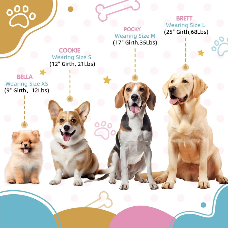 Tri-Color Dog Harness - Adjustable Step-in Design, Heavy Duty, Easy Walking Harness for Small Dogs - Blue Pink S: 4/5"W x Chest 16" - 20" Blue Pink Orange - PawsPlanet Australia