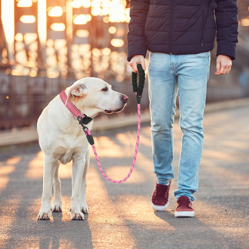 Rope Dog Leash 5 FT for Medium and Large Dogs,Heavy Duty Dog Rope with Comfortable Padded Handle,Waterproof Dog Leash for Walking,Reflective Nylon Dog Leash,Pink Pink 1/2" x 5 FT - PawsPlanet Australia