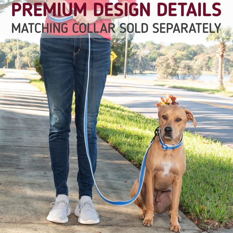 Leash Boss 6ft Ultra Comfort Double-Thick Soft Padded Handle Reflective Leash for Large and Medium Dogs, Heavy Duty for Large Breeds, Nylon for Small Dogs/Puppies 6 Ft x 1" Wide Aqua