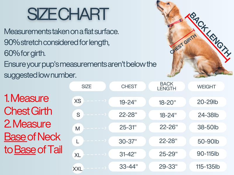 Dog Recovery Suit After Surgery – Body Suit for Female Spay & Male Neuter with Washable Pads, Post-Surgery Onesie for Dogs, Large (Grey) - PawsPlanet Australia