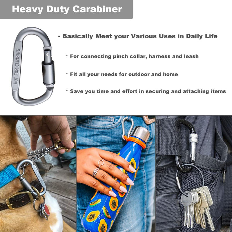 Mayerzon Backup Collar, Nylon Slip Collar with Double Ended Clip and Carabiner for Prong Collar, Dog Training Spare Set for Safety Walking Medium,19.7in,Neck 14-18in