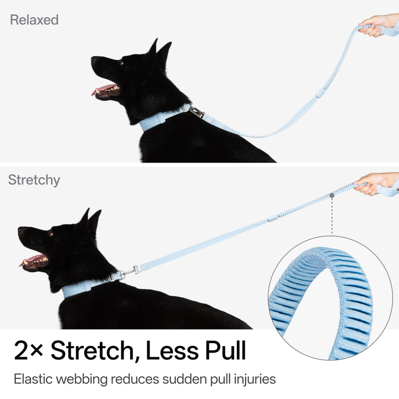 Ultra Comfort Dog Leash Soft Padded Comfortable Handle Alloy Clip Shock Absorbing Bungee Leash for Outdoor Walking Jogging for Small Medium Large Dogs Up to 110lbs (Midnight Black, S) Midnight Black - PawsPlanet Australia