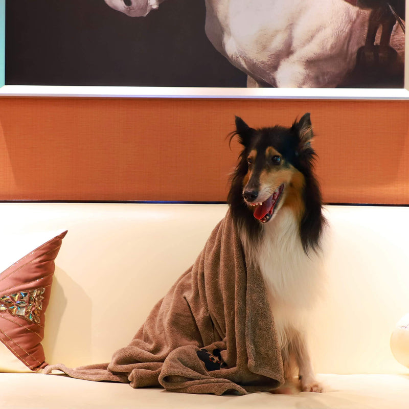 Dog Towels for Drying Dogs - Pack of 2 - Super Absorbent Soft Microfiber Pet Bath Grooming Towel for Dogs and Cats & Other Pets (M-36" * 28", Grey and Brown) M-36" * 28" - PawsPlanet Australia