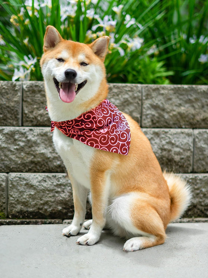 Shiba Inu Dog Karakusa Bandana Large with Kawaii Shibaken Logos & Shiba Kanji Logos Comfortable, Washable, and Stretchy Pet Scarf Size One-Sided Print (Red) Red - PawsPlanet Australia