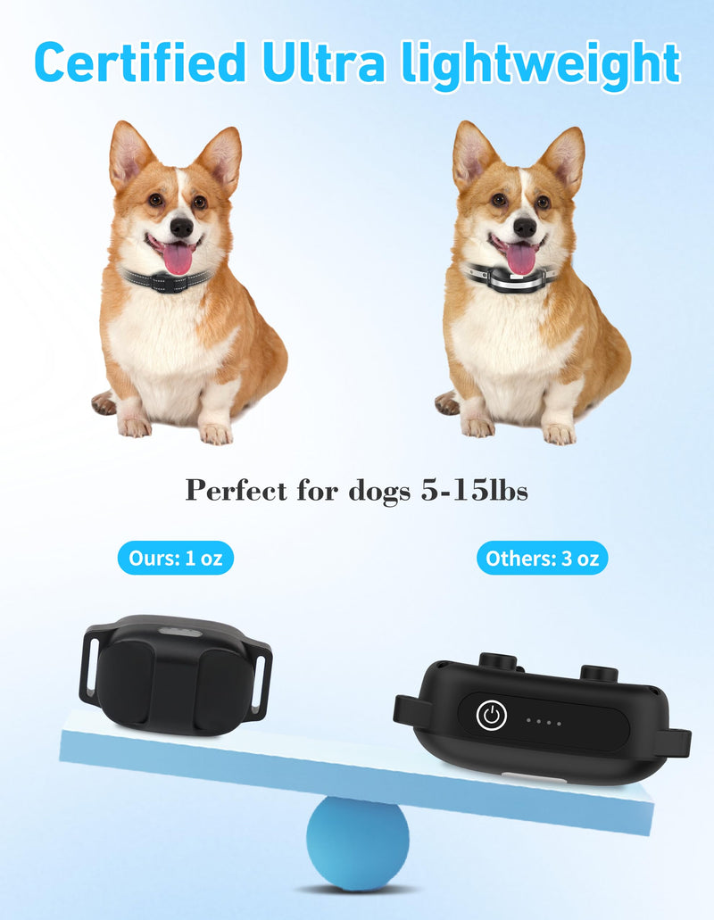 Small Dog Shock Collar, Tailored for Small Dogs 5-15lbs & Medium, Lightest Training Collar with Beep Vibration, Light for Night Walks, 3300Ft Rechargeable E Collar with Remote IPX7 Waterproof Black - PawsPlanet Australia