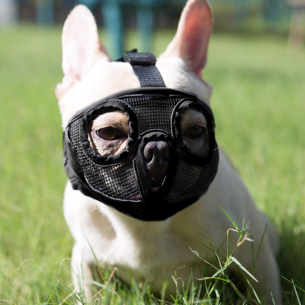 Short Snout Dog Muzzle- Adjustable Breathable Mesh Bulldog Muzzle for Biting Chewing Licking Grooming Dog Mask,Black M Medium/11"-17" Black(Eyehole)