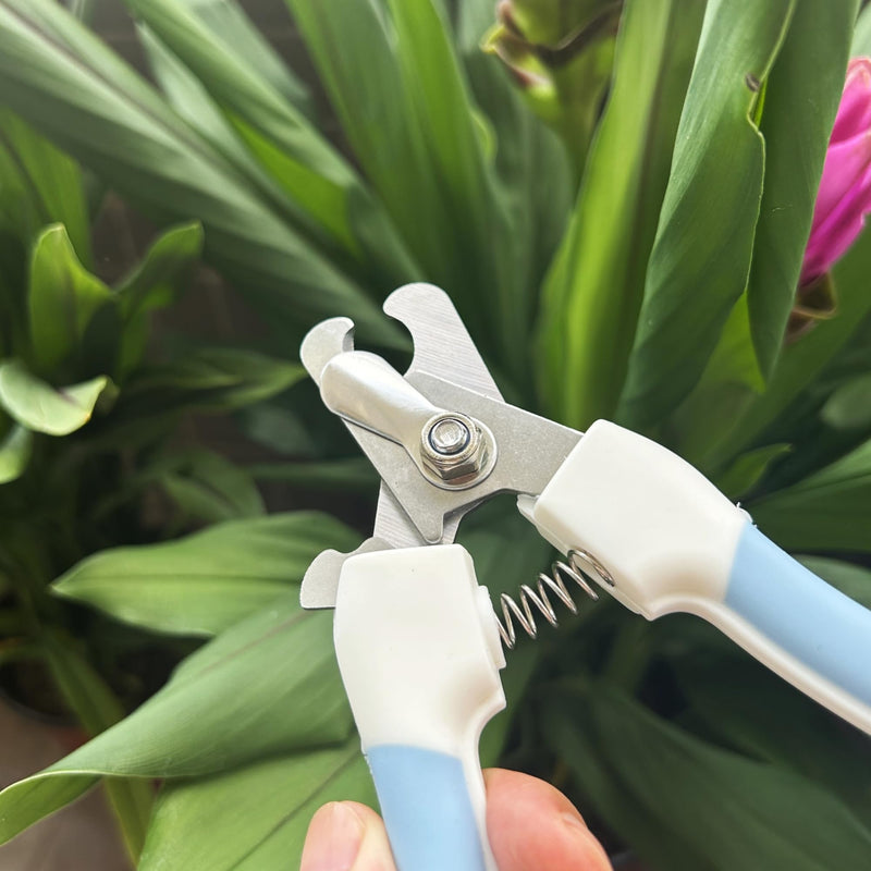 Professional Dog and Cat Claw Care with Nail File, Safety Mechanism, Pet Stainless Steel Claw Pliers, Blue - PawsPlanet Australia