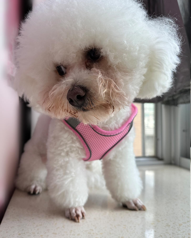 Solmoony Dog Harness for Small Medium Large Dogs No Pull, Puppy Harness and Leash Set, Puppy Harness for Small Dogs, Step in Harness for Small Dogs, Small Dog Harness, mesh Dog Harness. (Pink, XS) Pink - PawsPlanet Australia