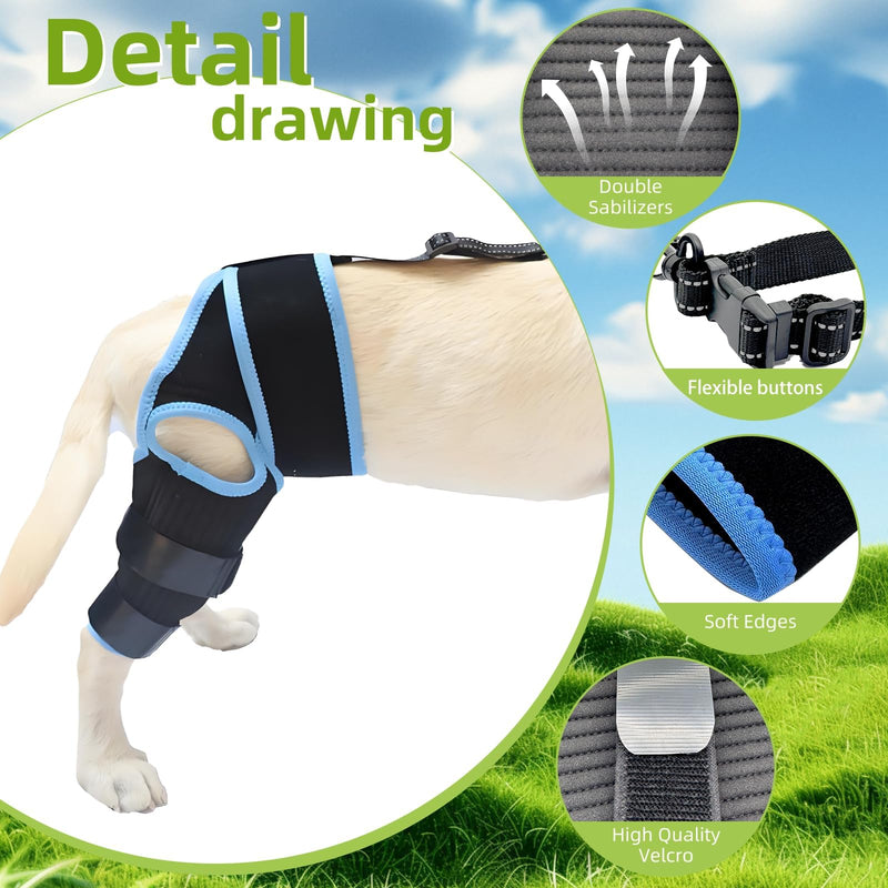 Adjustable Dog ACL Knee Brace for Hind Leg Support, Cruciate Ligament Recovery with Collar Fastening Belt- Extra Stabilizers, Comfortable Wrap & Straps (Blue, S) Single leg guard