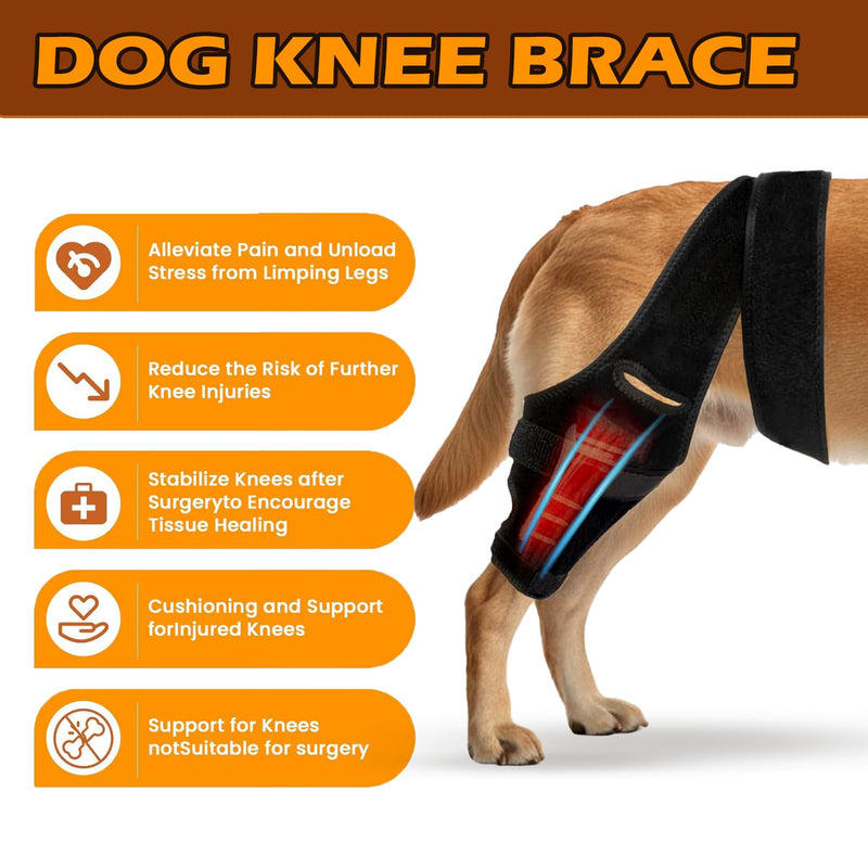 Dog Knee Brace for Torn ACL Hind Leg, Front Back Leg Support with Side Stabilizers Vet-Recommended Dog Joint Protection Arthritis Pain Relief Recovery Brace for Small Medium Large Dogs L Black