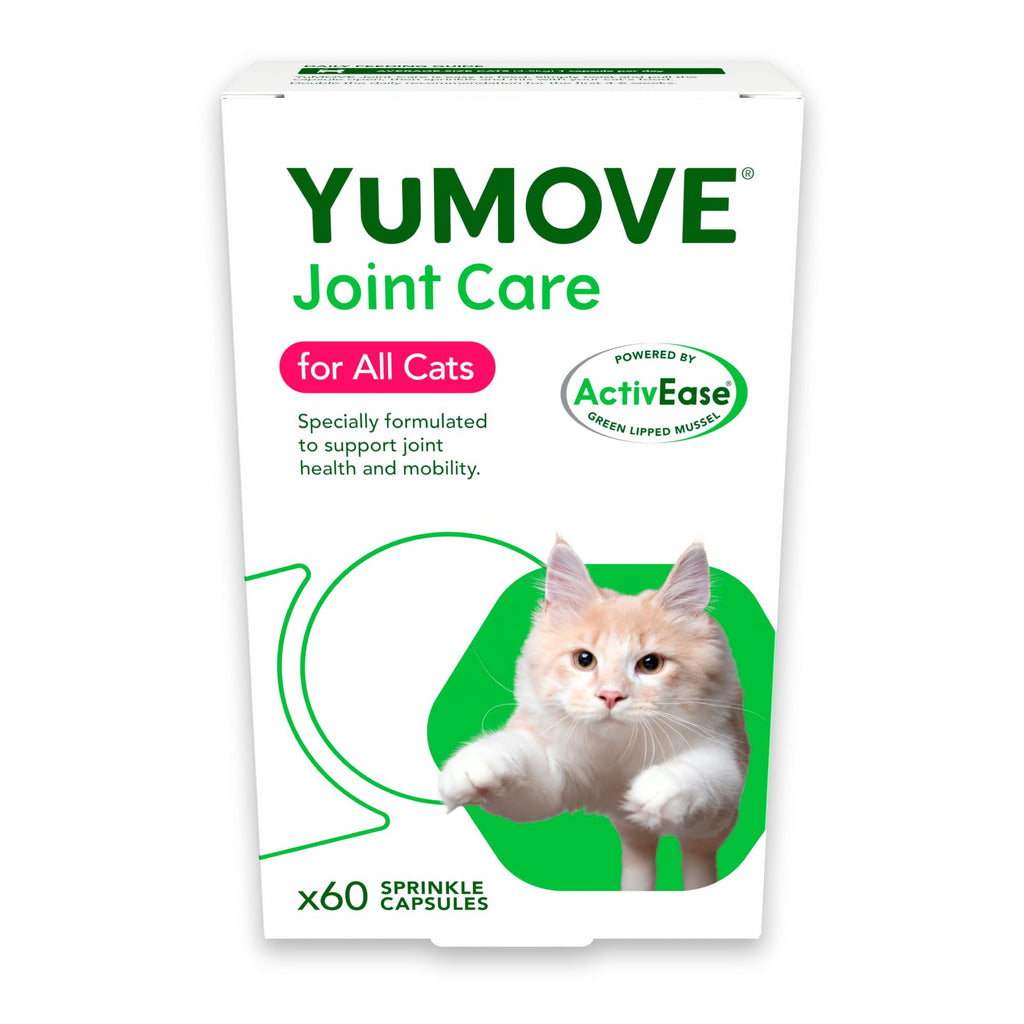 YuMOVE Cat | Joint Supplement for Cats, with Glucosamine, Chondroitin, Green Lipped Mussel, All Ages and Breeds | 60 Capsules Pack of 60 - PawsPlanet Australia