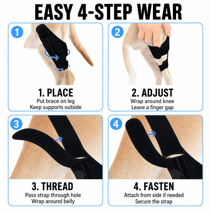 Dog Knee Brace for Hind Leg Support, Adjustable Canine Knee Brace for ACL/CCL Stability Support, Breathable Neoprene Leg Brace with 2 Side Stabilizers (M) M