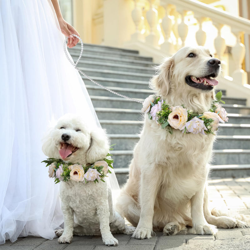 Pearls by Dog Wedding Collar and Leash Set - Elegant Flower Headband with Beaded Pearls - Adjustable Floral Collar (Medium) - PawsPlanet Australia