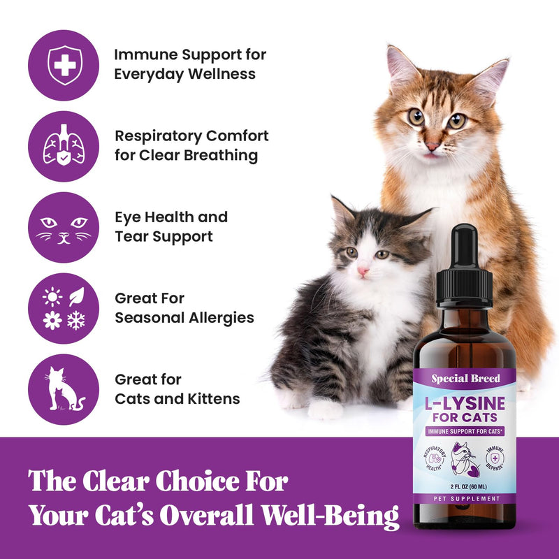 L-Lysine Supplement for Cats & Kittens – Immune Support Liquid for Feline Respiratory Health, Sneezing, Runny Nose & Watery Eyes – 250mg Lysine Cat Drops with Vitamins Complex – Chicken Flavor
