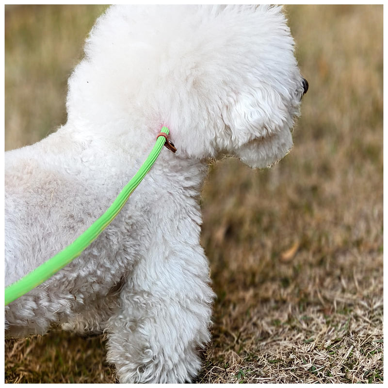 MayPaw Slip Lead Control Leash for Dogs No Pull, 13+ Colors Classic Dog Lead 7 FT Pet Slip Leash, 1/4” Rope Leashes for Small Medium Animals (7ft*1/4", Green) 7ft*1/4" - PawsPlanet Australia