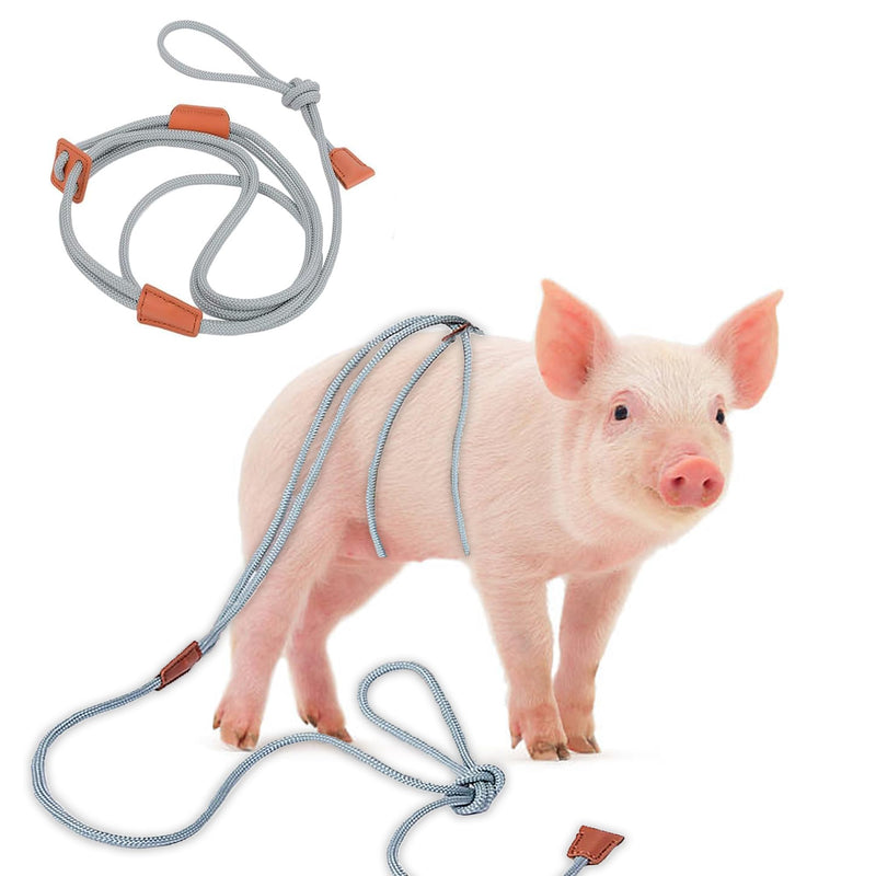 Pig Harness & Leash, Escape Prevention Adjustable Rope, All in One Design, All Life Stages Small to Medium Mini Pigs-5 Feet Long-Grey Grey - PawsPlanet Australia