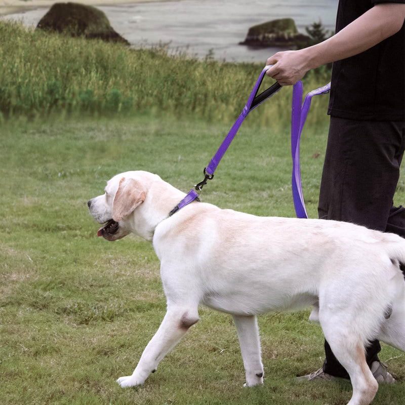 Wagtime Club Double Handle Dog Leash, 6ft Long Heavy Duty Dog Leash with Paded Traffic Handles for Extral Control and Training, Dual Handles Leads, Large Medium Small Dogs (Reflective Vibrant Purple) Reflective Vibrant Purple - PawsPlanet Australia