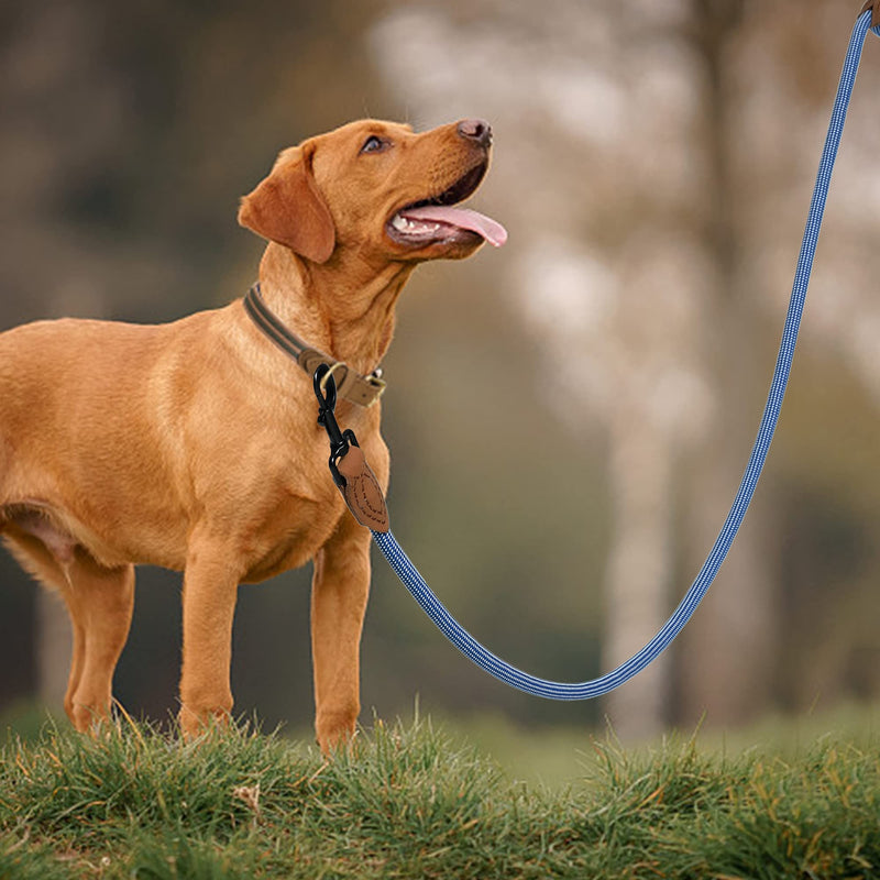 Mile High Life Rope Leash with Genuine Leather Connection, 6 FT/5 FT/4 FT, Heavy Duty Leash for Medium & Large Dogs(Blue White,72 Inch-1/2") - PawsPlanet Australia