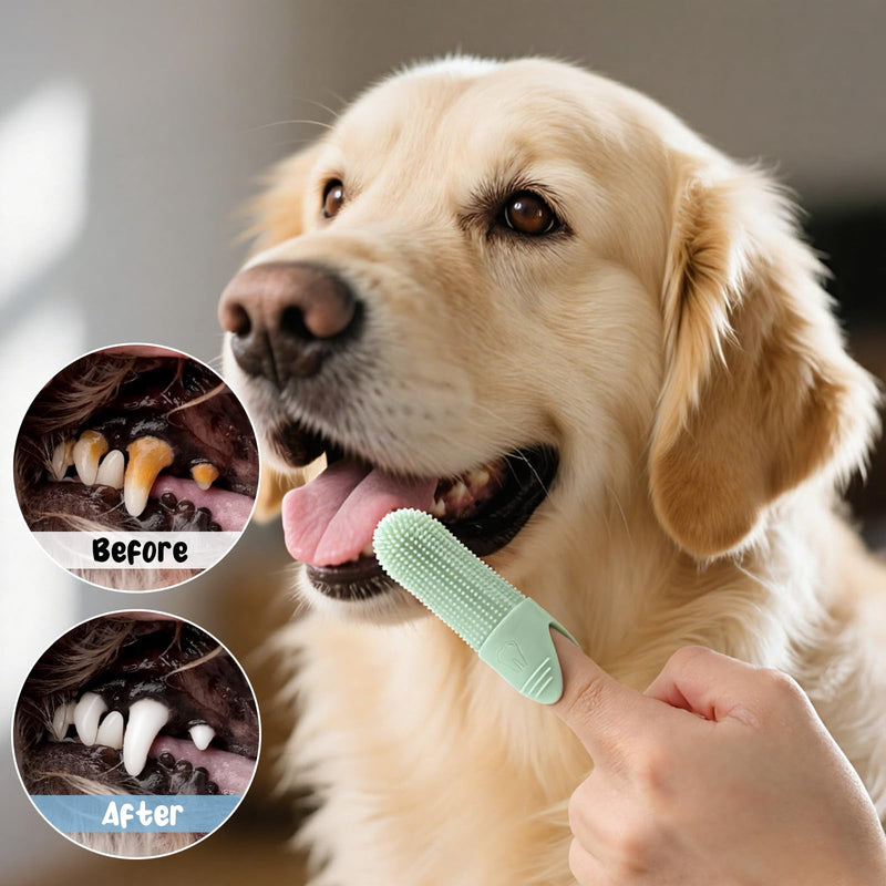 5Pcs Dog Toothbrush for Pet, Soft Silicone Finger Toothbrush 360° Cleaning Finger Brush for Small Breeds, Puppy & Kitten Dental Care, Gentle Cleaning, Travel-Friendly Design - PawsPlanet Australia